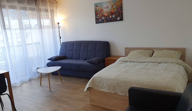 Studio, Centre-ville, GE 5km