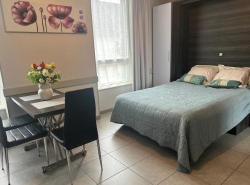 Studio charmant à La Ferrière-aux-Étangs, 27 m², avec Spa