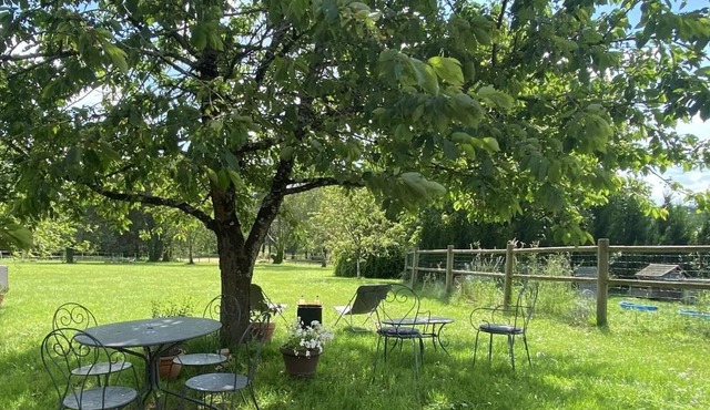 Studio Charentilly, studio flat, 2 persons