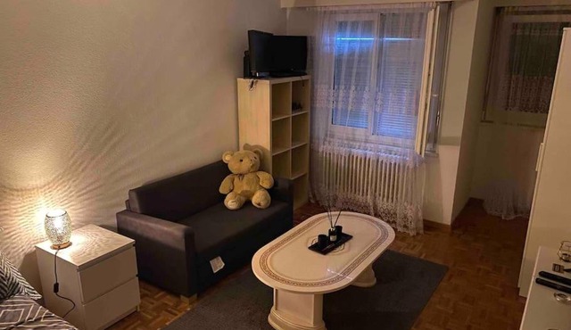 Studio charmant centré à Lausanne