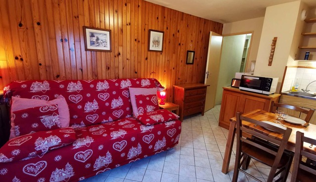 Studio close to slopes, near ski school, Adrets-Prapoutel