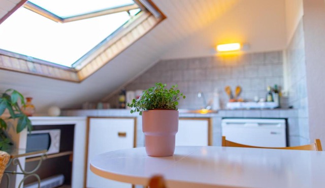 Studio cocon sous les toits de Jaurès