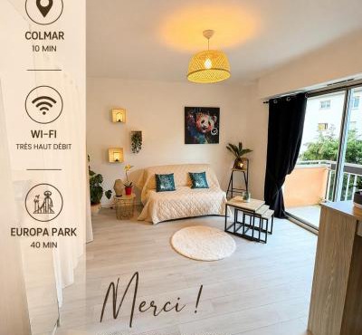 Studio cocooning à Colmar - proche Europapark