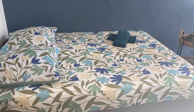 Studio cocooning/City center/Train station/CHU