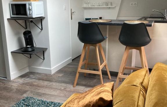 Studio cocooning et refait à neuf. Lyon 06