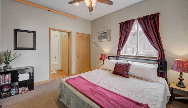 Studio Condo Near Lake Pepin - King Bed - Dewdrop