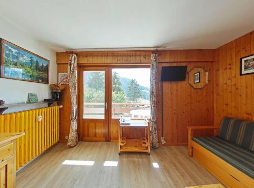 Studio confortable - Proche télécabine - 4 personnes - FR-1-241-65