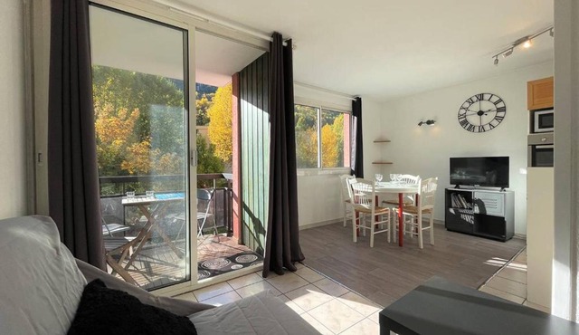 Studio confortable avec coin nuit pour 4 pers, à 100m de la télécabine et 200m du centre, parking inclus - FR-1-330C-135