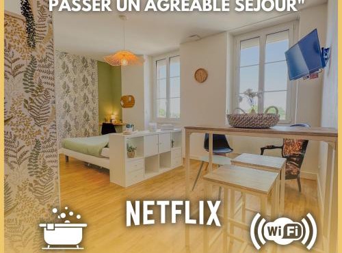 Studio COSY avec Baignoire et Netflix Idéal couple