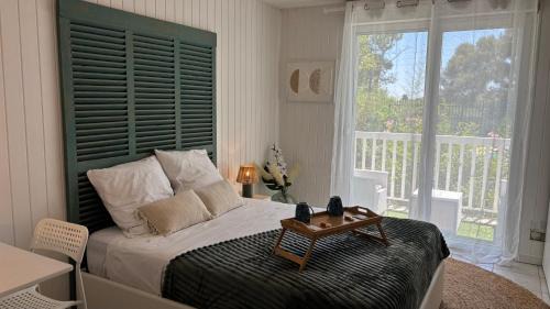 Studio cosy avec piscine