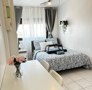 Studio cosy avec vidéoprojecteur, à 100m du métro