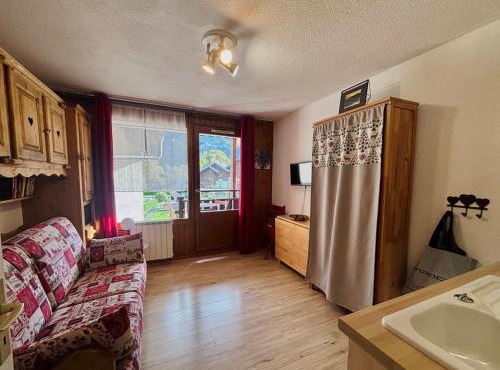 Studio cosy centre village, animaux acceptés, parking privé - FR-1-624-121