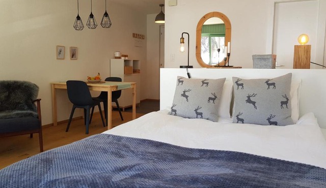 Studio - Cosy et central, Haute-Nendaz, 4 Vallées