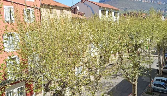 Studio Cosy - Plein Cœur Millau