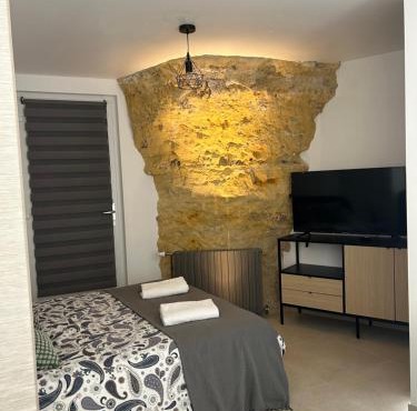 Studio cosy proche d Amboise