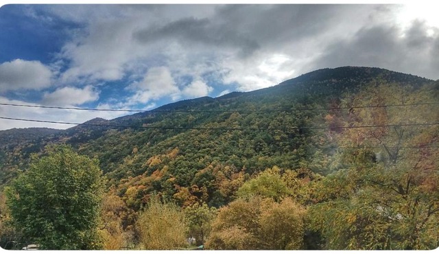 Studio décor chalet jusqu'à 6 couchages