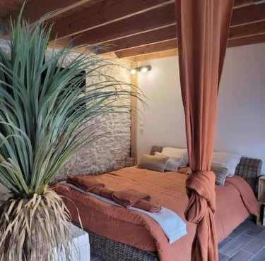 Studio de charme - Le Strelitzia