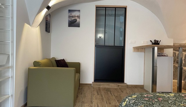 Studio des Volcans at the foot of Puy de Dôme!