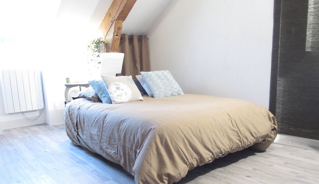 STUDIO DIJON CENTER LES HALLES / PLACE DARCY