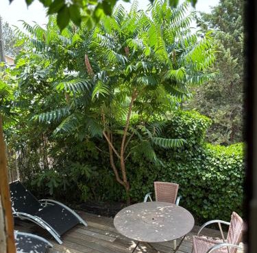 studio en provence verte