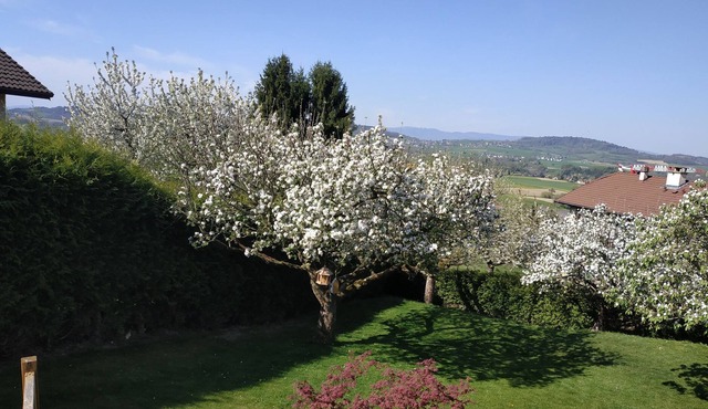 Studio "Enchanted Nature" for nature lovers and close to Annecy