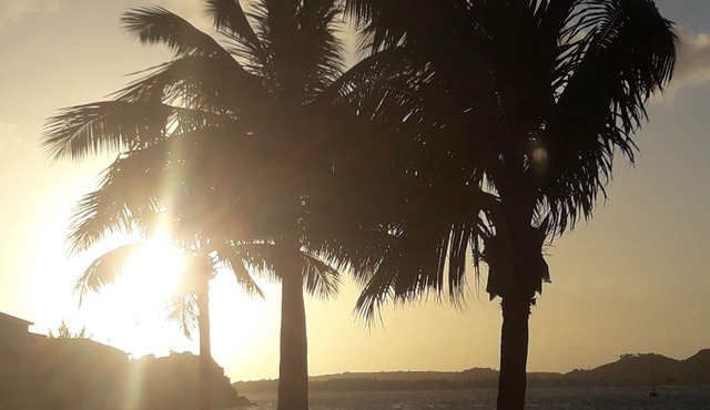 Studio "Entre Terre et Mer" Residence Anse des Sables