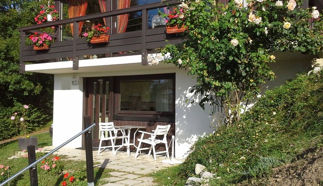 Studio equipped, independent, with view.