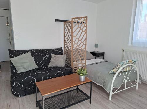 Studio F1 cosy en centre ville