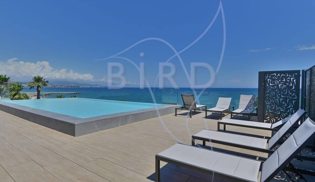 Studio feet in the water, friendly, cozy and unique.