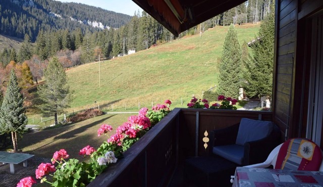 Studio flat "Haus Ahorni" with mountain view