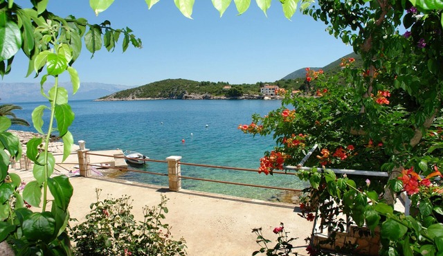 Studio flat near beach Cove Pokrivenik, Hvar (AS-2073-d)