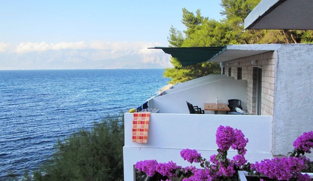 Studio flat near beach Cove Mala Pogorila (Hvar) (AS-8952-d)