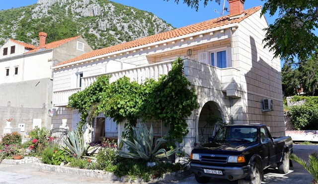 Studio flat near beach Trstenik, Pelješac (AS-4570-d)