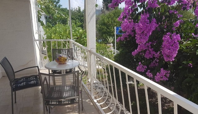 Studio flat near beach Slano, Dubrovnik (AS-8599-b)