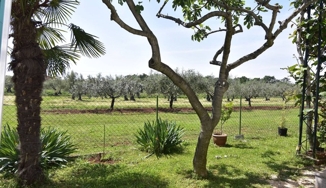 Studio flat Sveti Ivan, Umag (AS-22472-a)
