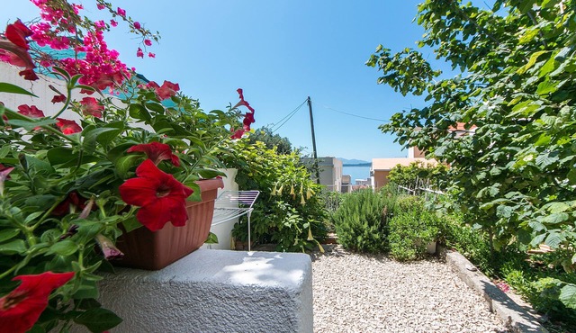 Studio flat with terrace and sea view Živogošće - Blato, Makarska (AS-1057-c)
