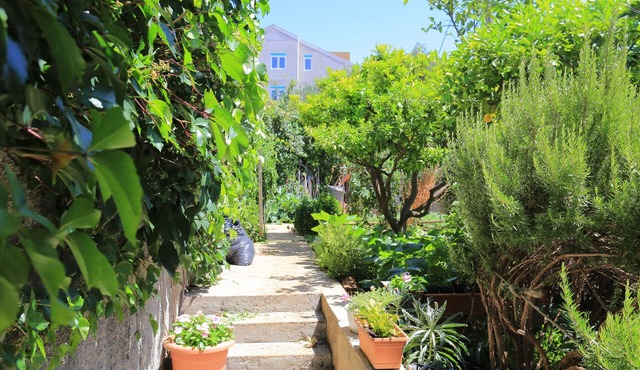 Studio flat with terrace Živogošće - Blato, Makarska (AS-1057-a)