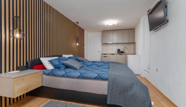 Studio flat with air-conditioning Zagreb (AS-22812-a)