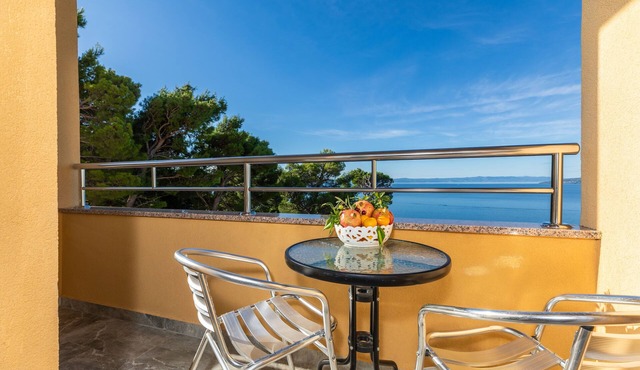 Studio flat with balcony and sea view Krvavica, Makarska (AS-23540-b)