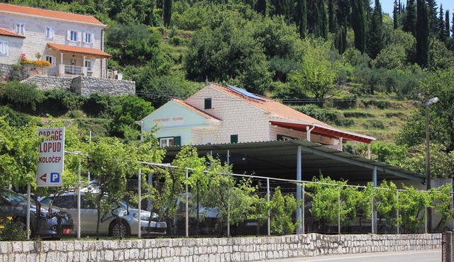 Studio flat with balcony and sea view Trsteno, Dubrovnik (AS-9107-c)
