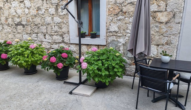Studio flat with terrace Zaton Veliki, Dubrovnik (AS-2107-b)