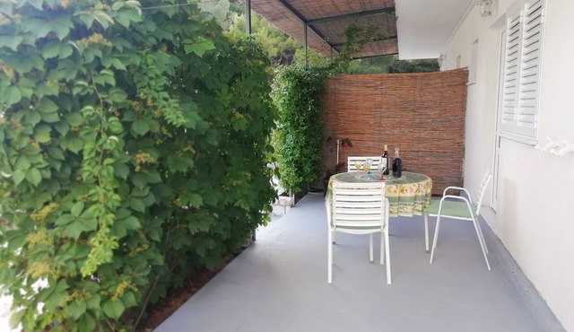 Studio flat with terrace Cove Saplunara, Mljet (AS-4896-b)