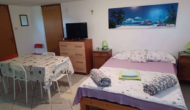 Studio flat with terrace and sea view Vinjerac, Zadar (AS-23145-a)