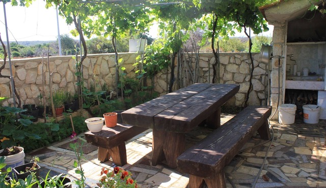 Studio flat with terrace and sea view Punta križa, Cres (AS-383-b)
