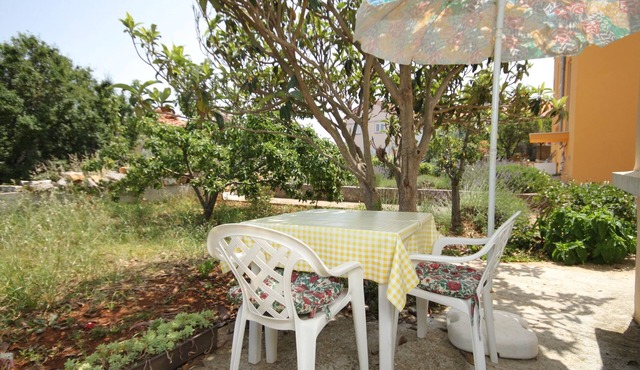 Studio flat with terrace Božava (Dugi otok) (AS-8108-b)