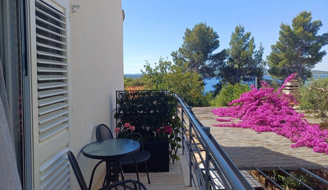 Studio flat with terrace and sea view Zavala (Hvar) (AS-8710-a)
