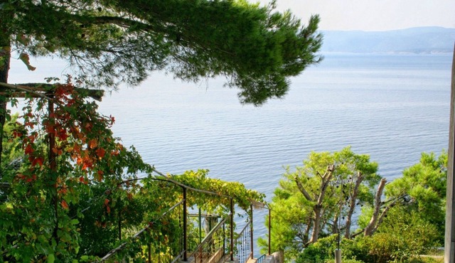 Studio flat with terrace and sea view Marušići, Omiš (AS-1024-d)