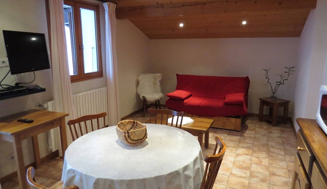 Studio for 3 with balcony, pets allowed, near slopes