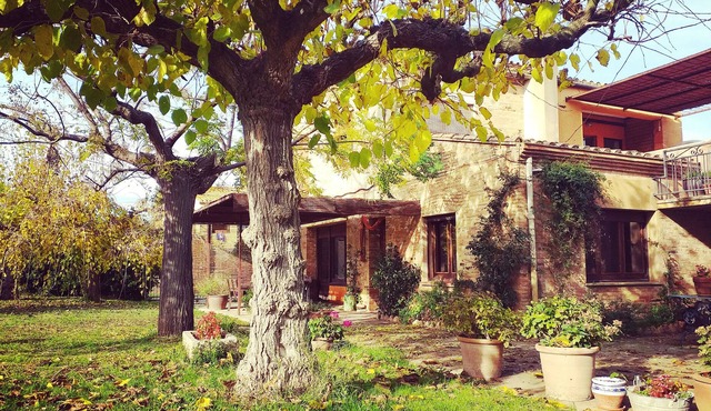 Studio for 2 people in the Empordà - Costa Brava