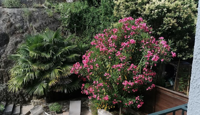 Studio Agréable et Confortable, Terrasse, Climatisation, Wi fi, Télé